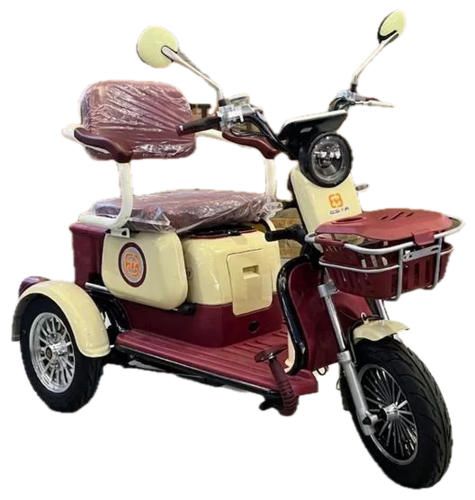 Triciclo elétrico XE-11